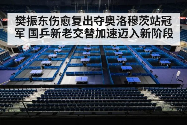 chinese table tennis team